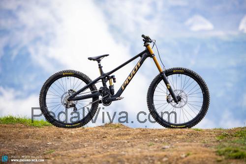Pivot Cycles Phoenix ficha tecnica